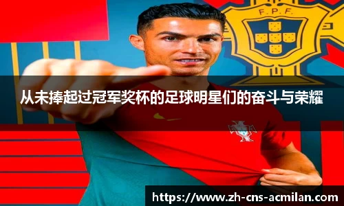 从未捧起过冠军奖杯的足球明星们的奋斗与荣耀